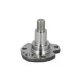  Piasta, łożysko koła: Czop piasty koła tył L/P Meyle 100 501 0029