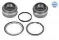 Półosie, przeguby, wały: Zestaw łożysk koła tył L/P Meyle 16-34 650 0001