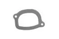  Termostat: Uszczelka termostatu Payen KA5032