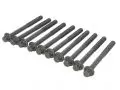Śruby głowicy: Zestaw śrub głowicy cylindrów Payen HBS524
