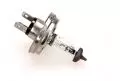  Żarówki H4: Żarówka H4 12V/60/55W P45t Rallye Tylko Off-Road Maxgear 78-0147