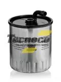 Filtr paliwa: Filtr paliwa Tecneco GS227