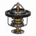 Termostat: Termostat Ashika 38-03-315
