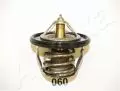 Termostat: Termostat Ashika 22-060