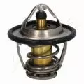 Termostat: Termostat Ashika 38-02-217