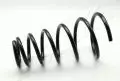  Sprężyna zawieszenia: Sprężyna Ashika ZCA6562C