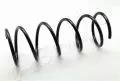 Sprężyna zawieszenia: Sprężyna zawieszenia Ashika ZCA1060A