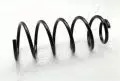 Sprężyna zawieszenia: Sprężyna zawieszenia Ashika ZCA1294G