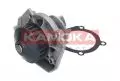  Pompa wody: Pompa wody Kamoka T0117