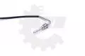 Czujnik temperatury spalin SKV 30SKV187, fot. 
