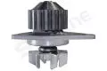 Pompa wody: Pompa wody Starline VP P125