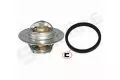  Termostat: Termostat Starline TS TAU118