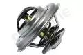 Termostat: Termostat Starline TS T016.87T