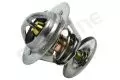 Termostat: Termostat Starline TS T001.88T