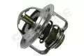 Termostat: Termostat Starline TS T053.88