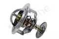 Termostat: Termostat Starline TS T076.82
