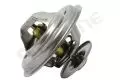 Termostat: Termostat Starline TS T089.87T