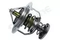 Termostat: Termostat Starline TS T084.76T