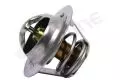 Termostat: Termostat Starline TS T057.89T
