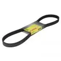 Paski klinowe wielorowkowe: Pasek wielorowkowy 6PK1090 Bosch 1987946128