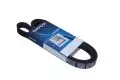 Paski klinowe wielorowkowe: Pasek wielorowkowy Dayco 6PK1663S
