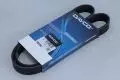 Pasek wielorowkowy Dayco 6PK1025, fot. 