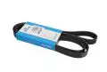Paski klinowe wielorowkowe: Pasek wielorowkowy Dayco 6PK1815