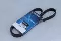  Paski klinowe wielorowkowe: Pasek wielorowkowy Dayco 5PK1150