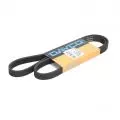  Paski klinowe wielorowkowe: Pasek wielorowkowy Dayco 5PK1260HD