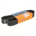Paski klinowe wielorowkowe: Pasek wielorowkowy Dayco 10PK1136HD