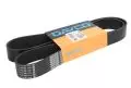 Paski klinowe wielorowkowe: Pasek wielorowkowy Dayco 10PK1500HD