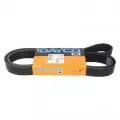 Paski klinowe wielorowkowe: Pasek wielorowkowy Dayco 8PK1988HD