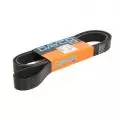 Paski klinowe wielorowkowe: Pasek wielorowkowy Dayco 8PK2085HD