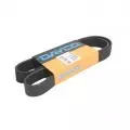  Paski klinowe wielorowkowe: Pasek wielorowkowy Dayco 8PK1202HD