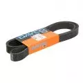 Paski klinowe wielorowkowe: Pasek wielorowkowy Dayco 8PK2110HD