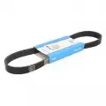  Paski klinowe wielorowkowe: Pasek wielorowkowy Dayco 6PK831EE
