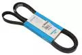 Paski klinowe wielorowkowe: Pasek wielorowkowy Dayco 5PK2145