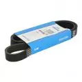 Paski klinowe wielorowkowe: Pasek wielorowkowy Dayco 6PK1059EE