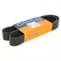 Paski klinowe wielorowkowe: Pasek wielorowkowy Dayco 10PK1155HD