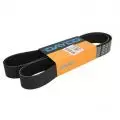 Paski klinowe wielorowkowe: Pasek wielorowkowy Dayco 10PK1448HD