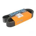 Paski klinowe wielorowkowe: Pasek wielorowkowy Dayco 10PK1502HD