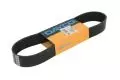 Paski klinowe wielorowkowe: Pasek wielorowkowy Dayco 11PK815HD