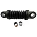Napinacz paska (element napinający): Sprężyna paska wielorowkowego - tłumik drgań -95mm Dayco APV2219
