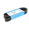  Paski klinowe wielorowkowe: Pasek wielorowkowy Dayco 8PK1560