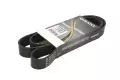  Paski klinowe wielorowkowe: Pasek wielorowkowy Dayco 8PK1655HD