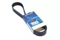  Paski klinowe wielorowkowe: Pasek wielorowkowy Dayco 8PK1295