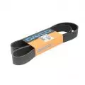  Paski klinowe wielorowkowe: Pasek wielorowkowy Dayco 9PK1358HD
