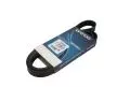 Paski klinowe wielorowkowe: Pasek wielorowkowy Dayco 6PK1560