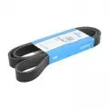 Paski klinowe wielorowkowe: Pasek wielorowkowy Dayco 7PK1741S