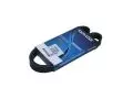  Paski klinowe wielorowkowe: Pasek wielorowkowy Dayco 6PK962S